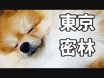 東京で弱肉強食トーキョージャングル実況プレイ【3】