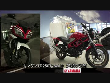 R25で南房総を走ってきたよ。その2