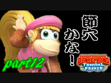 【実況】命がいくつあっても足りないドンキーコングTF part12