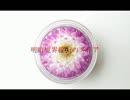 明暗境界線上のダリア　／　Proto-S　UTAUオリジナル