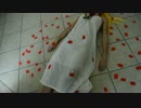 『Another』（アナザー）オープニングコスプレカバー
