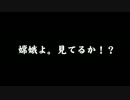 第12回東方Project人気投票の純狐のコメント欄が嫦娥すぎる