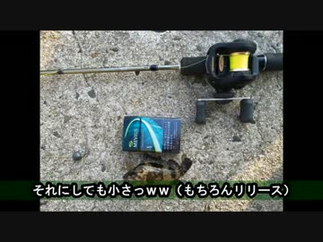 休日は魚釣りに出かけよう Part30