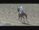 【競馬】2016年 3歳500万下 アルーアキャロル【500万下】