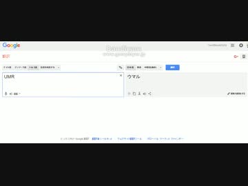 【Google翻訳】UMRを世界中の言語で訳してみた（発音付き）