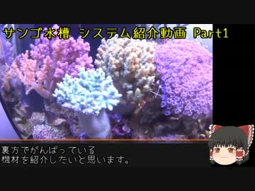 サンゴ水槽 システム紹介動画 Part1 システムざっくり説明