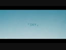 【バレンタインデーに歌ってみた】 S・K・Y 【ﾟ+★美音姫★+ﾟ】