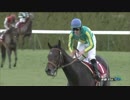 【競馬】2016年 京都記念 サトノクラウン【GII】