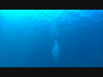 人目線で行く旅　～沖縄旅行後編～