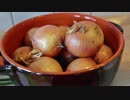 【知恵袋】玉ねぎを切るときの涙を防ぐ方法【暮らしの役立ち情報】