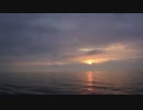 フェリーに乗ってみた 太平洋フェリ ー『いしかり』編 その2