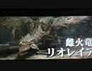 MHX  凡人ハンター狩猟日記31日目前編  (直撮り)
