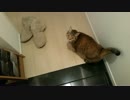 熱烈歓迎