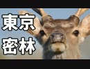 東京で弱肉強食トーキョージャングル実況プレイ【4】