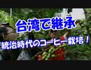 【台湾で継承】 統治時代のコーヒー栽培！