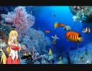 マキさんの海の底からこんにちは。
