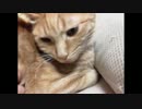 しまい忘れてますよ