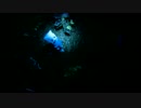 【シルバニア】廻る四季～prologue～【自作アニメ】