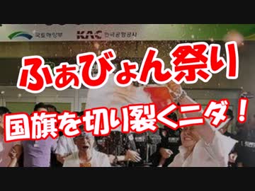 【ふぁびょん祭り】 国旗を切り裂くニダ！