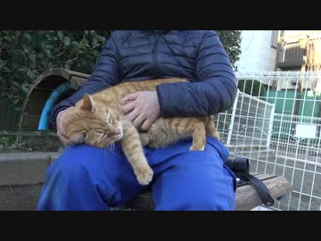 キンタマッサージでキンタ満悦