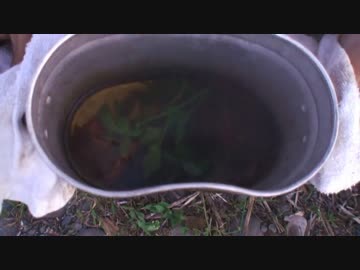 【自然を食べよう！】バッタとエスカルゴのスープ編　2/2