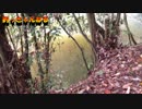 【釣っきゃんねる】野池でバス釣り