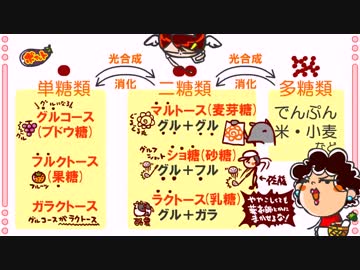 食育５話「糖と炭水化物」