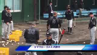 マウロゴメス当たり阪神タイガースキャンプ010沖縄