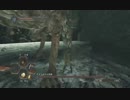 【DARK SOULS2 -SCHOLAR OF THE FIRST SIN-】ダークソウル2初見実況プレイ58