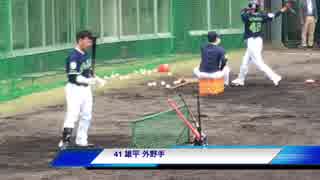 雄平ヤクルトスワローズキャンプ004沖縄