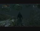【Bloodborne】禁域の森に異次元への穴が開いていた件(小ネタ)