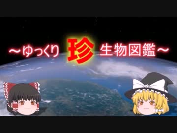 ～ゆっくり　珍　生物図鑑～　新・第25回