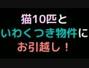 猫10匹といわくつき物件にお引越し！【2ch】
