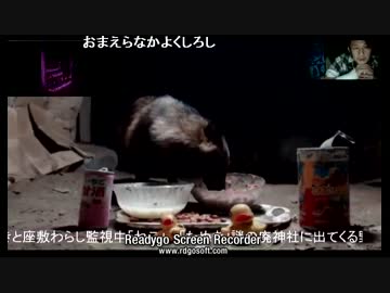 野良だぬき大戦争