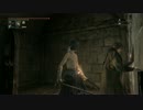【Bloodborne】初見旅 カンストDLC編part15【実況】