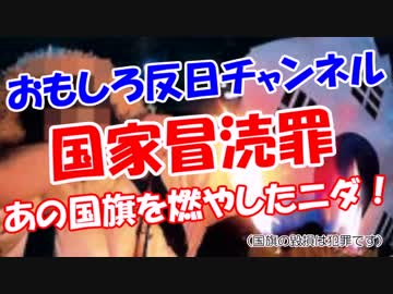 【国家冒涜罪】 あの国旗を燃やしたニダ！