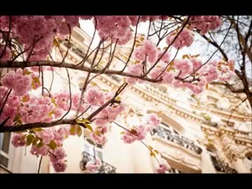 【季節用BGM】春の陽気に誘われる音楽集