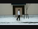【紅炉ここあ】Calc.踊ってみた。
