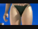DOA5LRスイートセクシーコスチューム　紅葉nico用