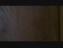 ホモと見る底辺中学生Youtuber バナナを作る