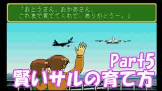 【子育てクイズマイエンジェル】賢いサルの育て方 Part5【2人実況】