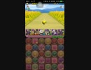 【パズドラ】カネツグ降臨でプラマラ！【２分以内】