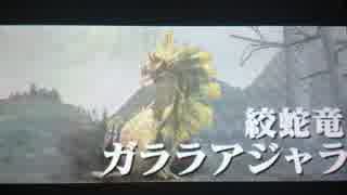 MHX 凡人ハンター狩猟日記33日目 (直撮り)