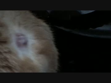 【閲覧注意】*⇔＊