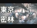 東京で弱肉強食トーキョージャングル実況プレイ【6】