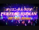 【オリラジ】PERFECT HUMAN～METAL-Remix～【iPad drum指ヨシキ】