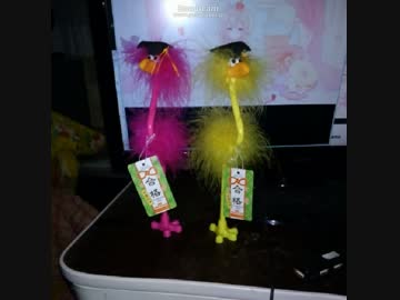 渋谷のキング　うんこちゃんを語る