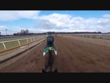 ラストインパクト　騎手目線調教