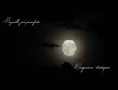 Bagatelle per PianoForte【オリジナル曲・ピアノインスト】