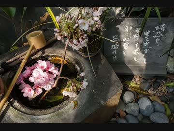 【水琴窟】秋の虫水琴窟